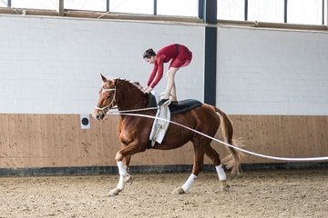 Bild 517 - Voltigierturnier